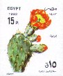 Opuntia mit Blte