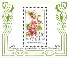 Horpagophytum procumbens