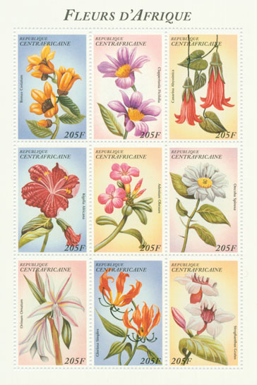 Bombax costatum, Adenium obesum