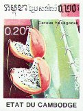 Cereus hexagonus