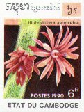 Hildewintera aureispina