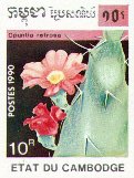 Opuntia retrorsa