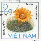 Parodia chrysacanthion