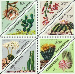 Selenicereus macdonaldiae, Opuntia vulgaris, Pereskia vargasii, Malacocarpus erinaceus, Carnegiea gigantea, Hylocereus sp., Epiphyllum sp., Selenicereus