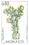 Echinocereus procumbens