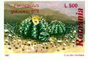 Ferocactus glaucescens