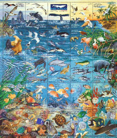 Cereus sp., Melocactus sp.?