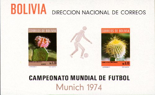 Gymnocalycium mihanovichii und Eriocactus leninghausii