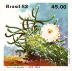 Pilosocereus gounellei